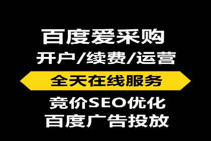 百度竞价排名服务：成功案例解析与优化策略
